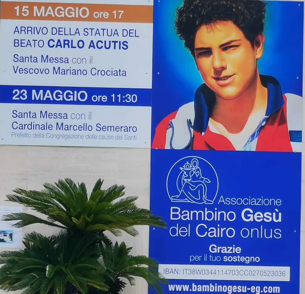 Il cardinale Semeraro domenica a Latina per il Beato Carlo Acutis